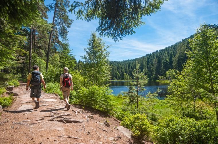 Aktiv ferie i Thuringen