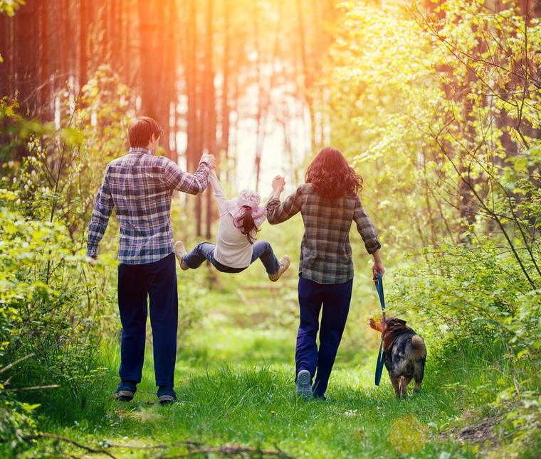 Feriehus i Holland med hund