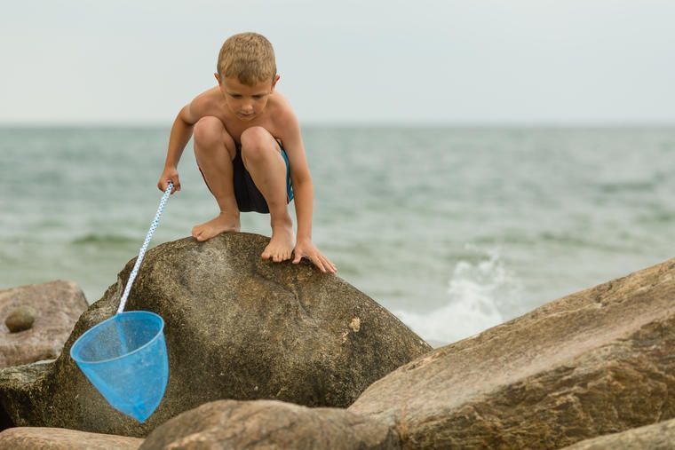 Fang krabber på stranden nær jeres sommerhus i Thyborøn