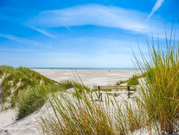Oplevelser i Schleswig-Holstein