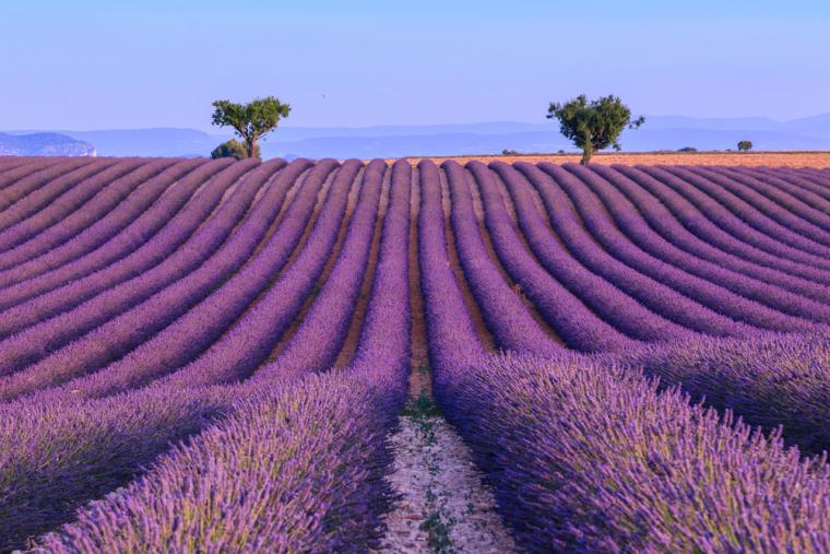 Lej feriehus i Provence