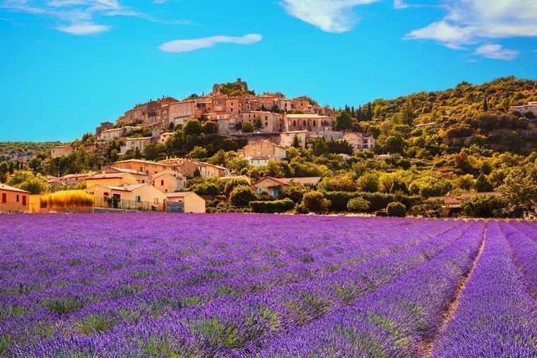 se lavendelmarker fra et feriehus i Provence