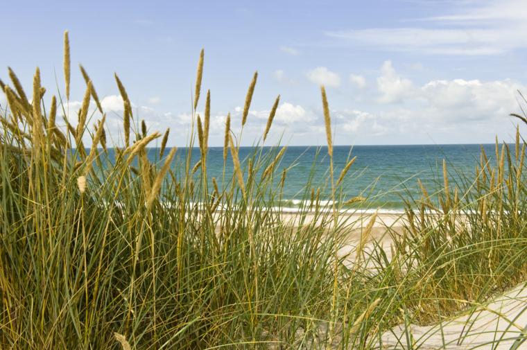 oplevelser i naturen og ved stranden i Ålbæk