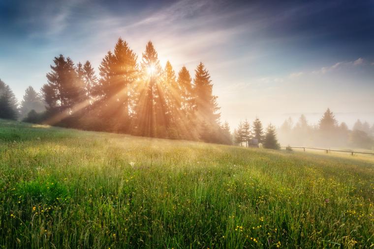 Smuk natur i Sverige