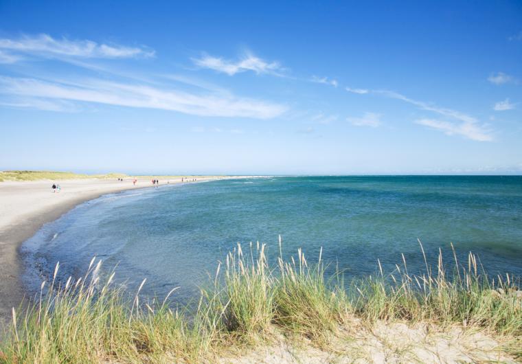 Strand Ålbæk