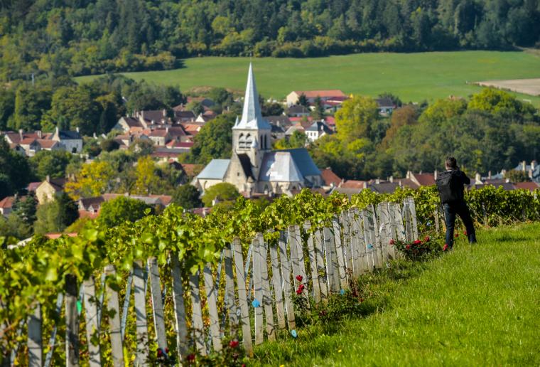 Ferie i Champagne-Ardenne