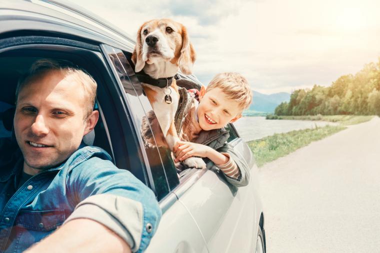 med hund tilladt i Danmark | NOVASOL.DK