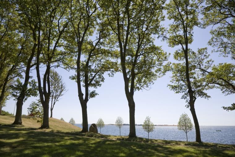 Ferie på Fyn