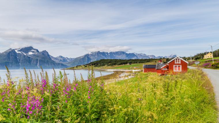 Feriehuse i Sverige