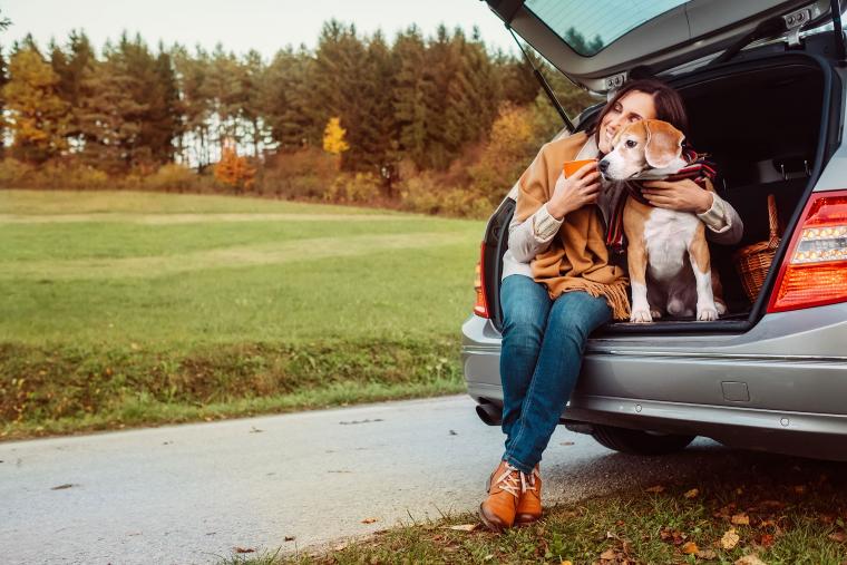 Lej et sommerhus til efterårsferie med hund