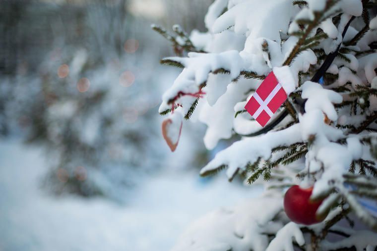 Hold jul i danmark med familien i et sommerhus