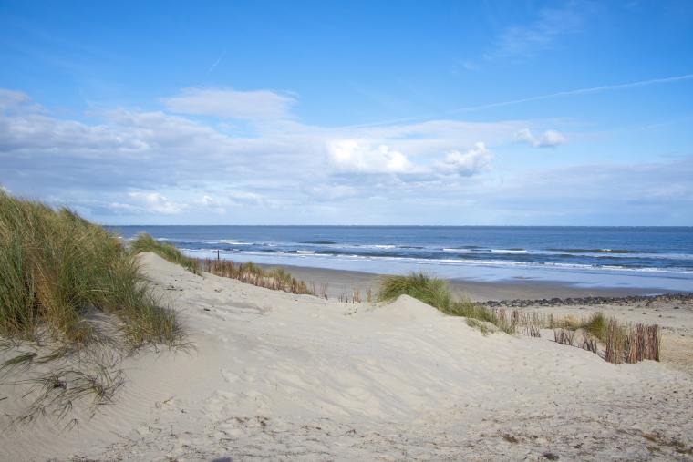 Strand Ålbæk