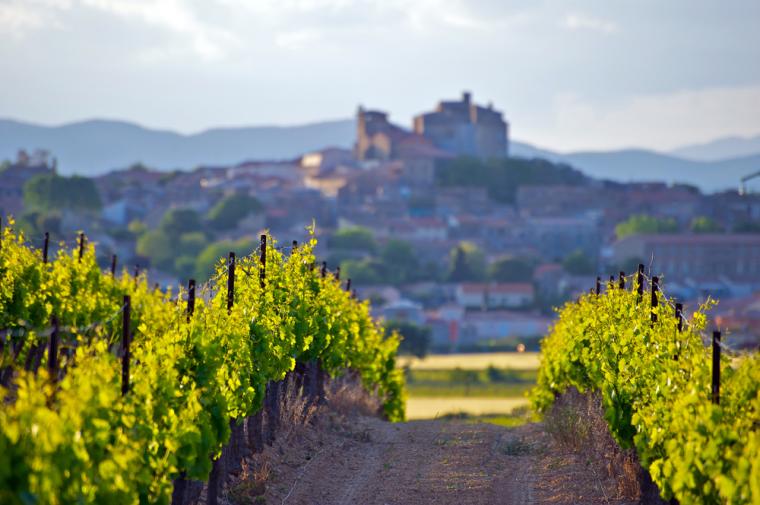 Vinmarker i Languedoc Roussillon
