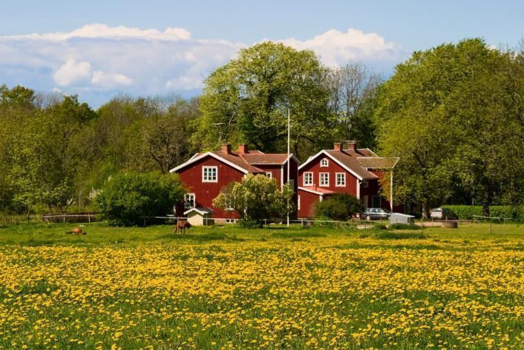 Feriehuse i Sverige