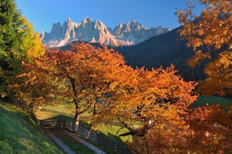 Oplev Italiens smukke natur fra jeres feriebolig