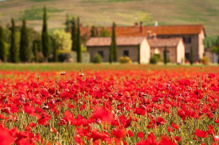 Feriehuse i Toscana