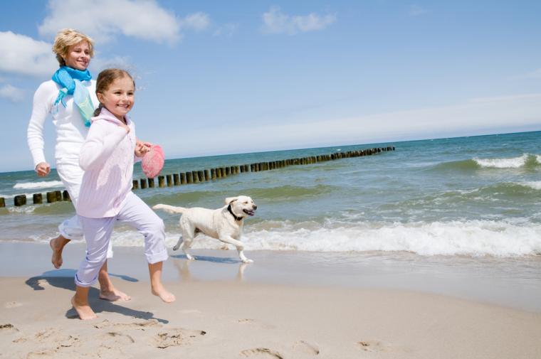 Sommerhus med hund Handrup Strand