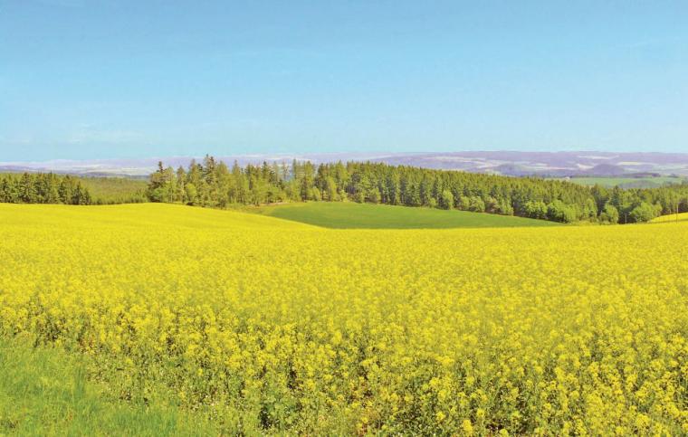 Landskab i Mellem Mähren