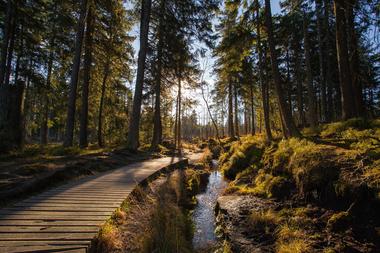 Last Minute sommerhus i Tyskland