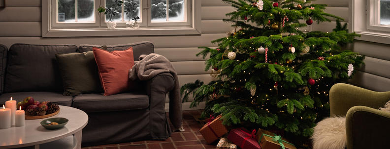 Find ‘hjem’ til jul sammen med NOVASOL. Book din juleferie i sommerhus nemt, trygt og når som helst på NOVASOL.dk